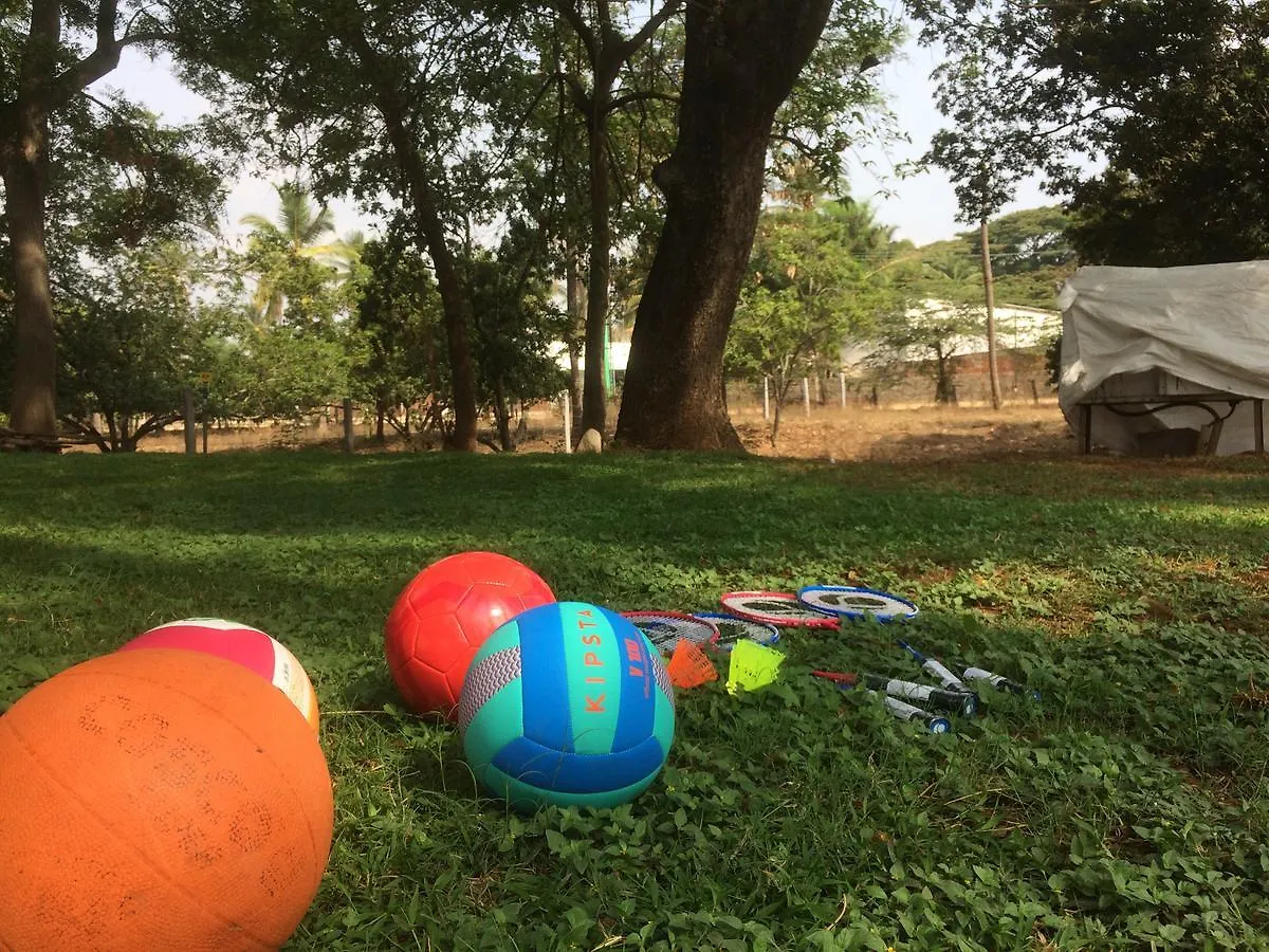 Hammock Hostels Mysore